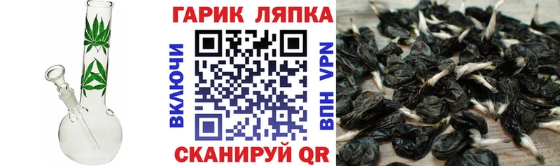 Купить  Венёв  ГАШ гашик 