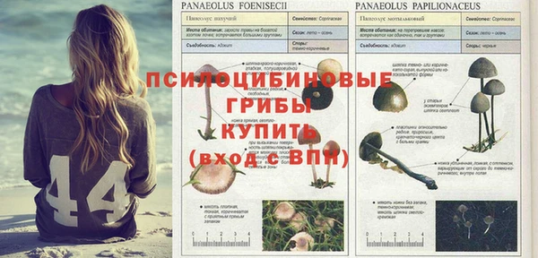 дживик Киреевск