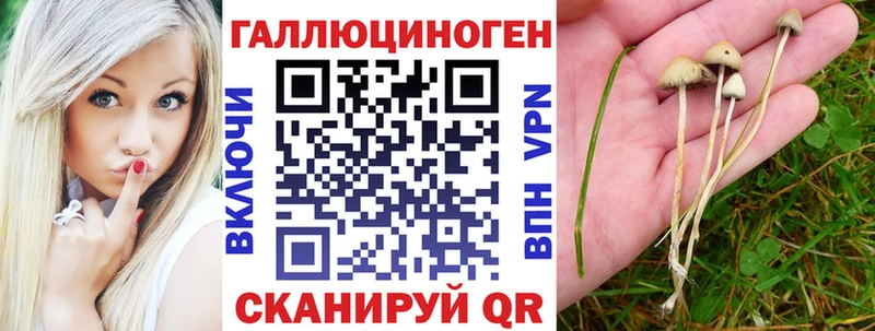 Галлюциногенные грибы GOLDEN TEACHER  Купить где  Венёв 